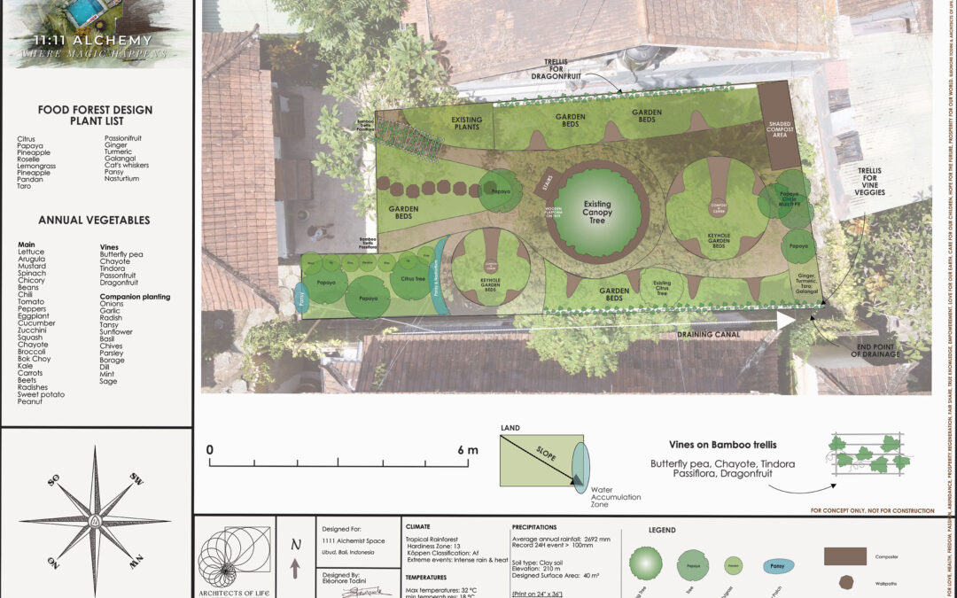 Urban Permaculture Garden for Guest Houses in Bali – Indonesia