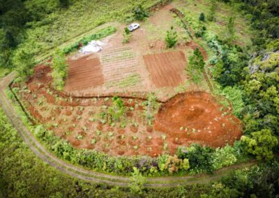 Permaculture Education Project in Mauritius | Architects of Life | Based in France, Serving Globally