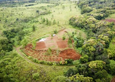 Permaculture Education Project in Mauritius | Architects of Life | Based in France, Serving Globally