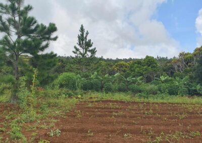 Permaculture Education Project in Mauritius | Architects of Life | Based in France, Serving Globally