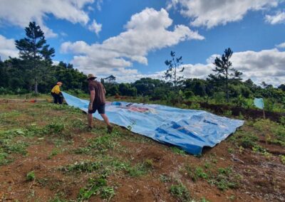 Permaculture Education Project in Mauritius | Architects of Life | Based in France, Serving Globally