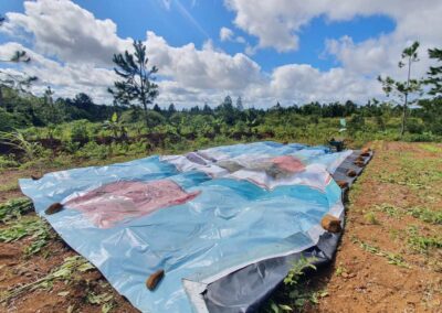 Permaculture Education Project in Mauritius | Architects of Life | Based in France, Serving Globally