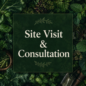site visit