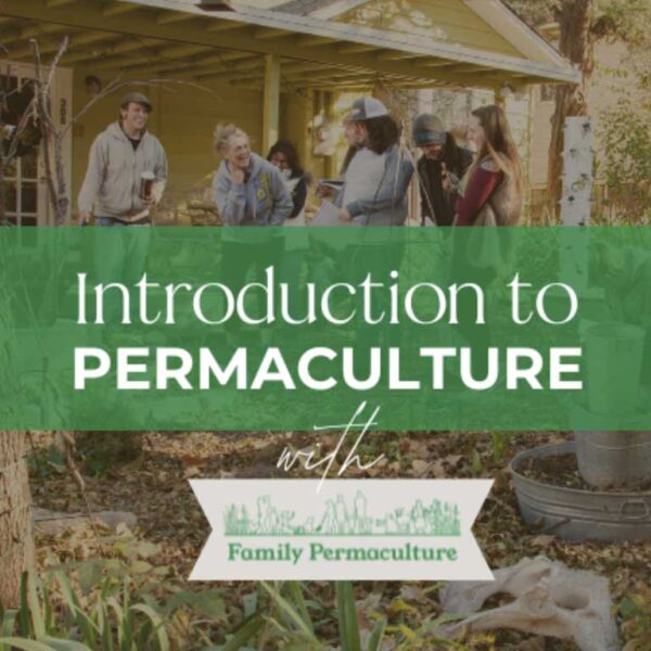 Introduction to Permaculture