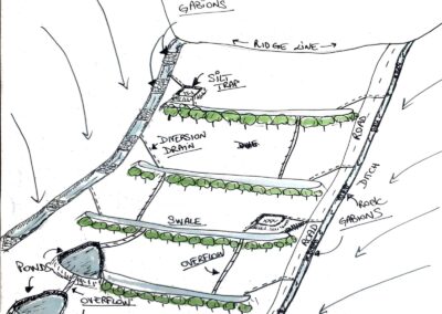 Bring life back through regenerative hydrology